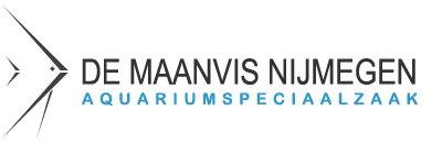 DE MAANVIS NIJMEGEN